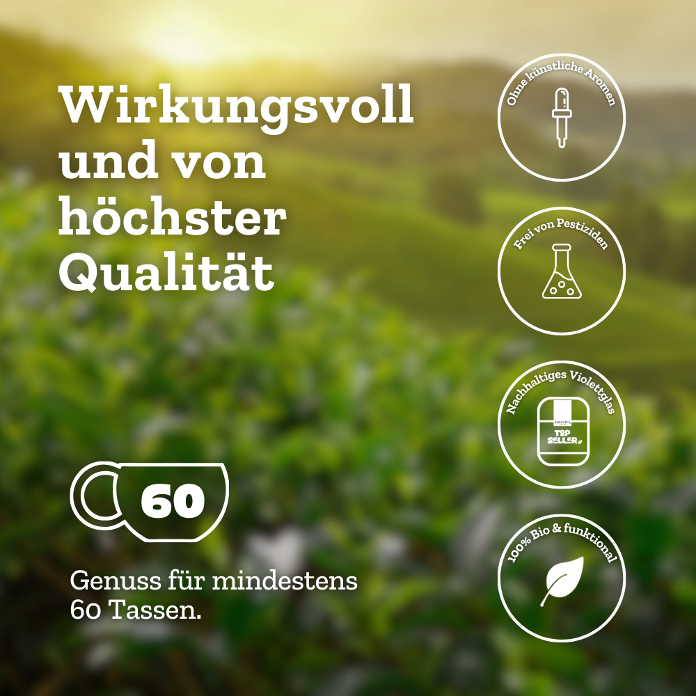 So Damn Pretty - Grünteemischung mit Guarana & Rosenblüten - Set - Bio