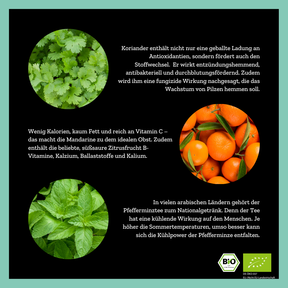 
                  
                    Mighty Mint Lover - Minzteemischung mit Mandarine - 70g - Bio
                  
                