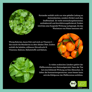
                  
                    Mighty Mint Lover - Minzteemischung mit Mandarine - 70g - Bio
                  
                