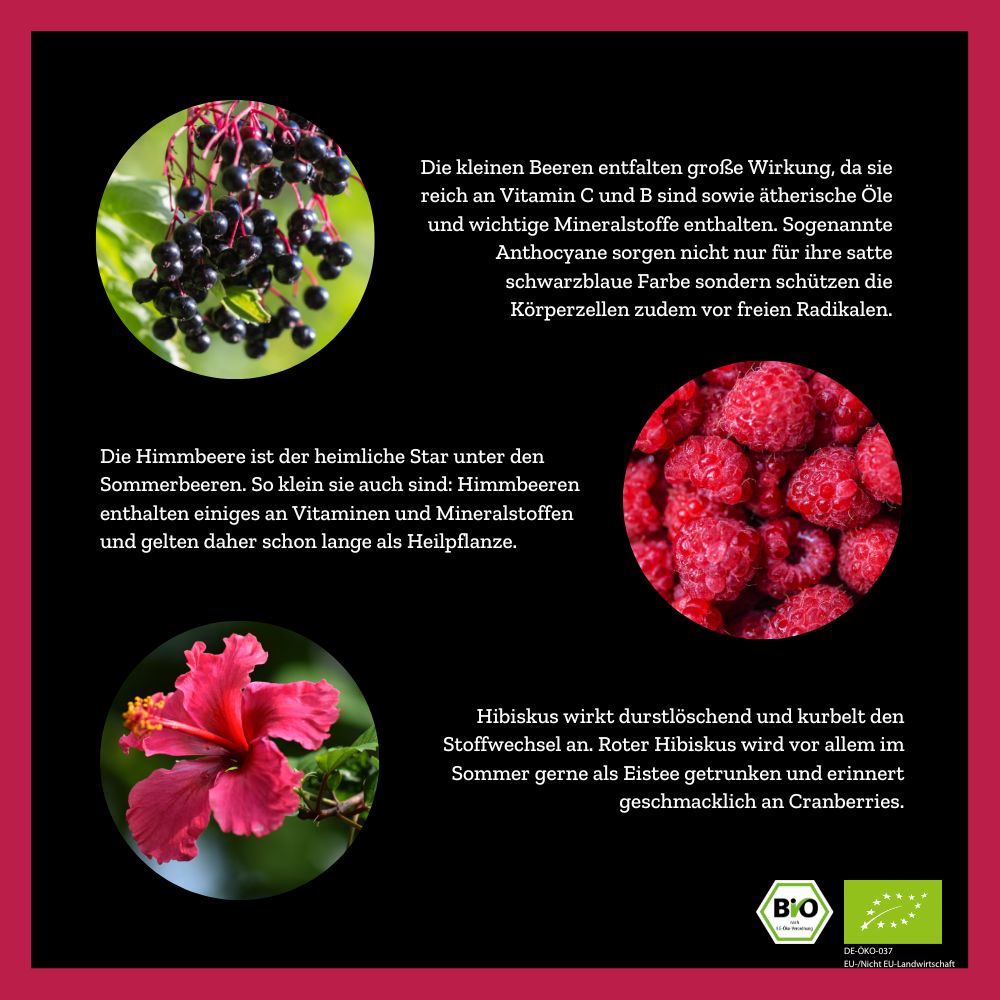 
                  
                    Tutti Fruitea Dream - Früchtetee mit Waldfrüchten - 90g - Bio
                  
                