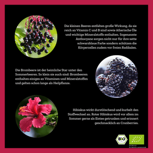 
                  
                    Tutti Fruitea Dream - Früchtetee mit Waldfrüchten - 50g - Bio
                  
                